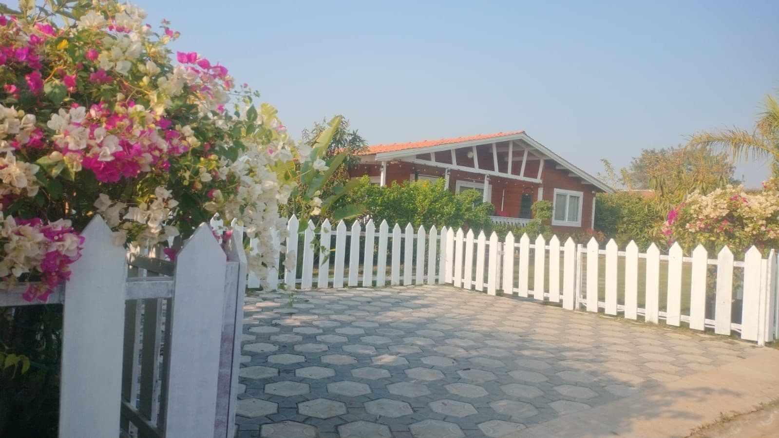 Open Lawn & Garden